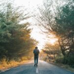 A man walks down a sunlit forest path, surrounded by trees in a tranquil morning light.